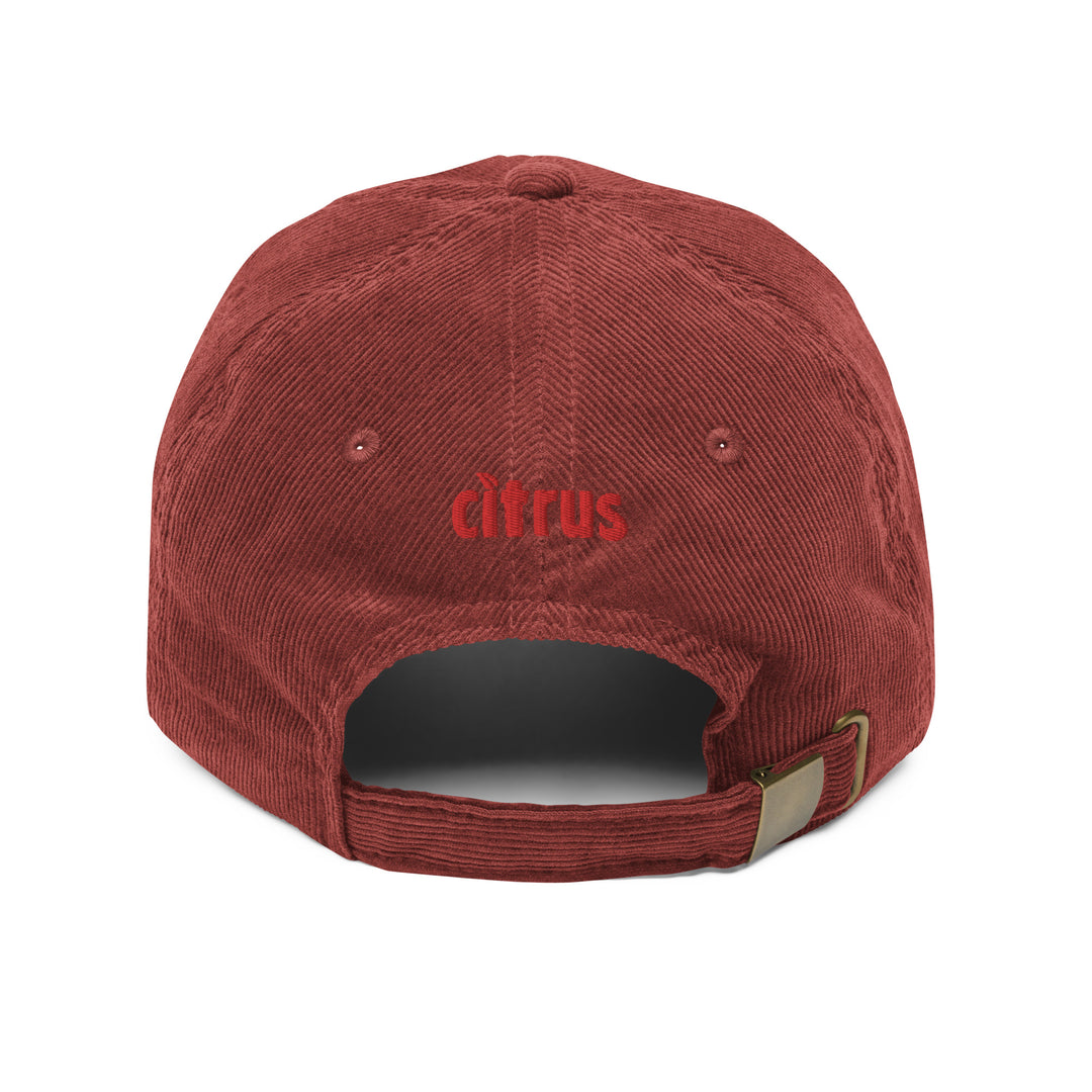 University College Educational School corduroy hat