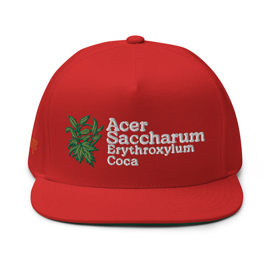 Maple and Coke 5 panel Hat