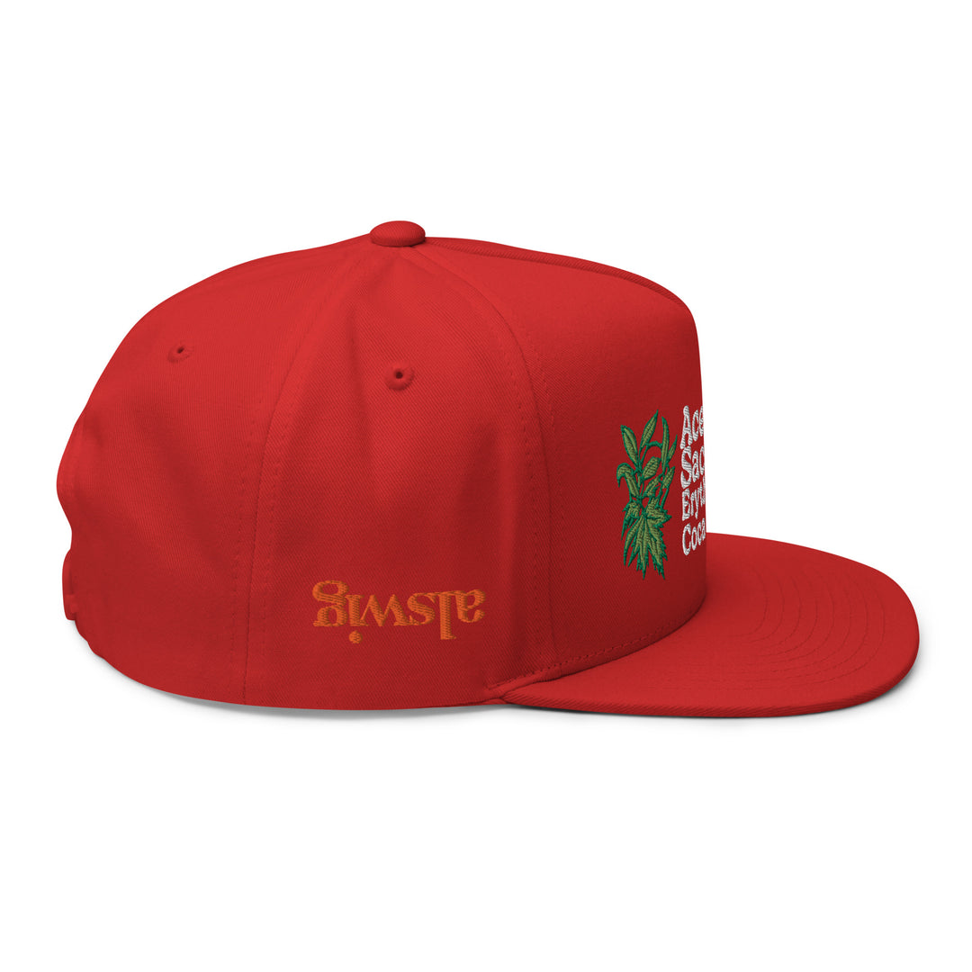 Maple and Coke 5 panel Hat